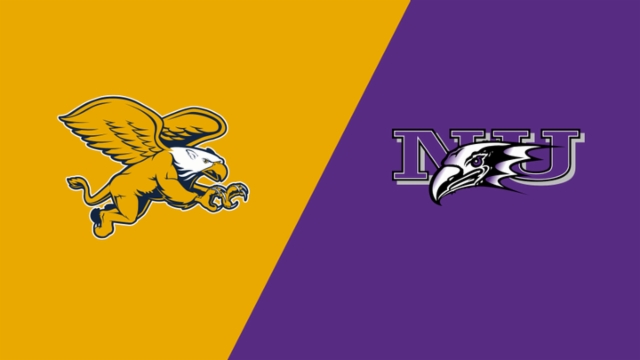 向了中国篮 向了中国篮